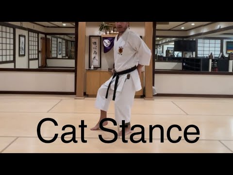 Cat Stance (Neko-Ashi Dachi) breakdown for Karate practitioners.