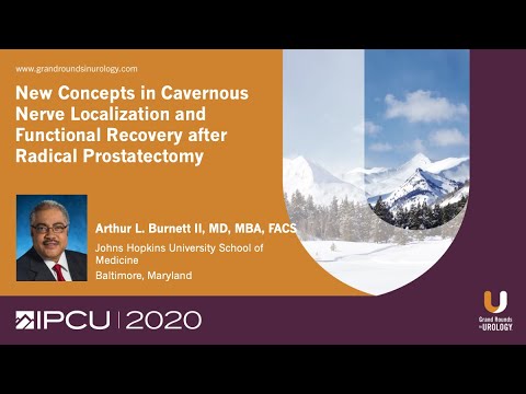 New Concepts in Cavernous Nerve Localization and Functional Recovery after Radical Prostatectomy You