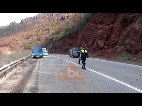 Shembet masivi shkembor ne Bushtrice | ABC News Albania