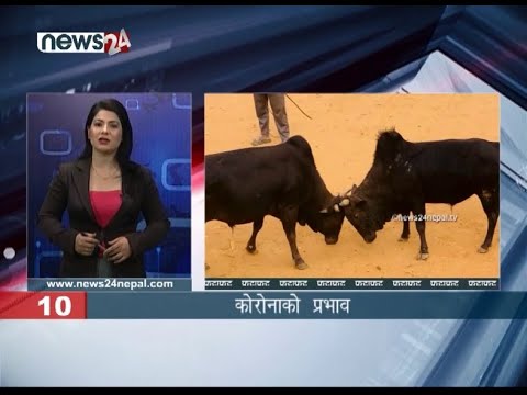 AFTERNOON NEWS FATAFAT- NEWS24 TV