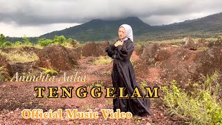 Download lagu Anindita Aulia - TENGGELAM |   mp3