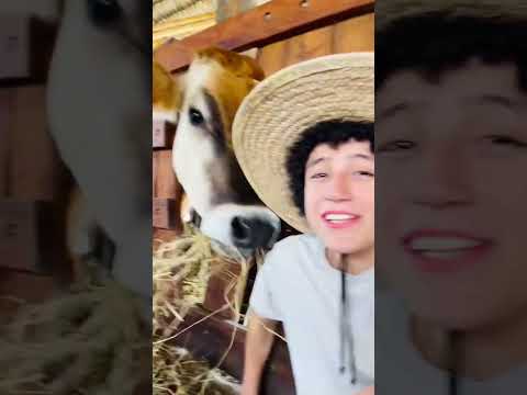 Página final: Cada juego debería tener una vaca