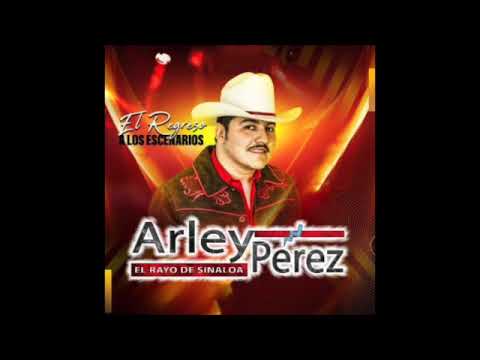 Arley Perez-A Puro Pecho(ft Los Canelos De Durango y Los Morros Fp)