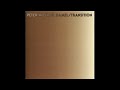 Peter Michael Hamel - Transition