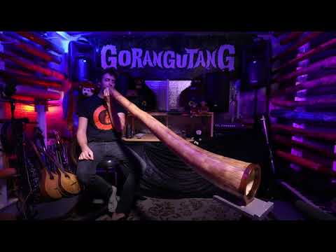 Agave Multidrone Didgeridoo in C# - AG011