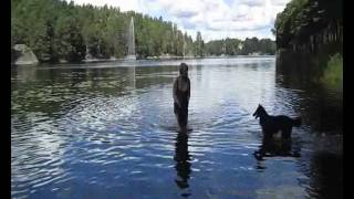 preview picture of video 'Swimming with the dogs.'