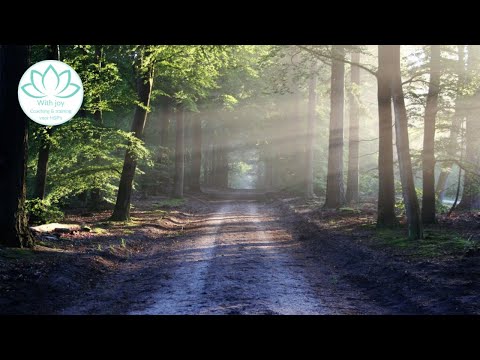 Helende HSP-meditatie: je mag er helemaal zijn zoals je bent