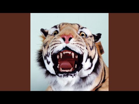 Priteo & Johnny Doc (feat. Ochoa)