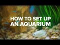 How to Set Up an Aquarium