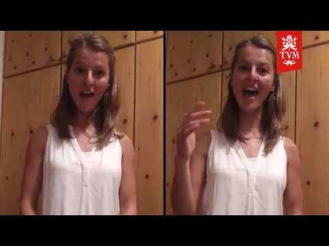 Wås schlågt denn då drobn auf 'n Tånnabam?