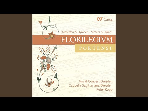 Video thumbnail for Confitebor tibi, Domine