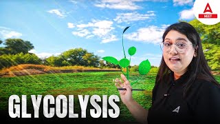 Glycolysis (3D Animation) | NEET Mantra | Garima Goel
