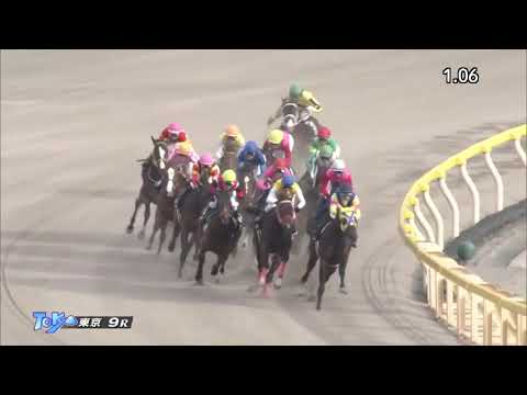 2018.11.24 Cattleya Sho (JPN) - Make Happy