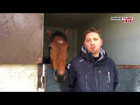 Paris-Turf TV - Gabriel Leenders : Daddy Banbou