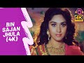 Bin Saajan Jhula Jhankar Kumar Sanu Sadhna Sargam Daamini 1993 Meenakshi Seshadri