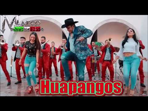 Mix Huapangos-Marco Flores Y La Jerez