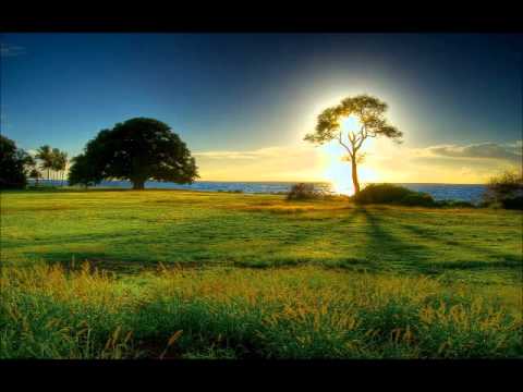 Manu Negrea Colaj - Volum nou