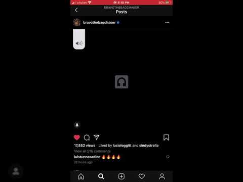 Bravo the Bagchaser snippet