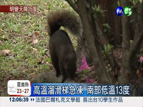 入夜變天急凍! 北台灣明下探11度