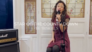 Star of the County Down