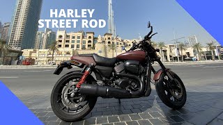 My New bike | Harley Davidson Street Rod | Downtown Dubai