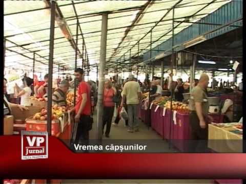 Vremea căpșunilor