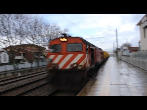 Bombardier 1964 com Madeira no especial 83130