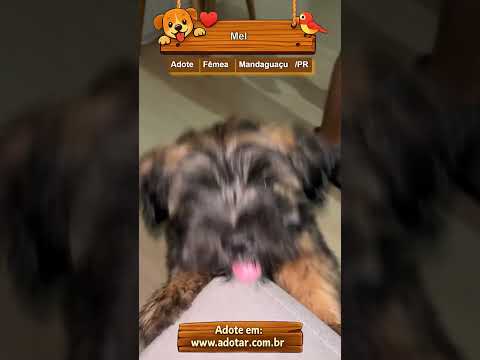 Vídeo de Mel
