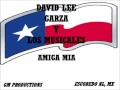 DAVID LEE GARZA Y LOS MUSICALES--AMIGA MIA