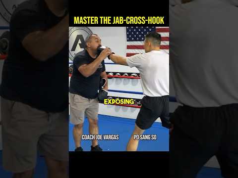 MASTER The Jab-Cross-Hook