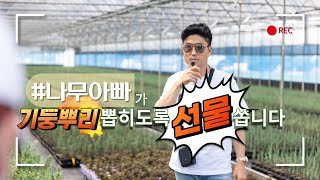 2023 계묘년 나무아빠가 화끈하게 선물 드리고 시작합니다~! 빅 이벤트 놓치지 마세요~! 2023년 신품종…