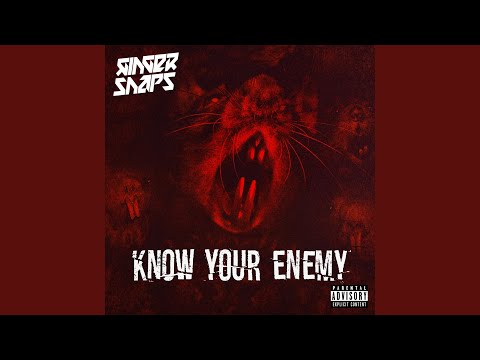 Know Your Enemy (Vile rats Version)