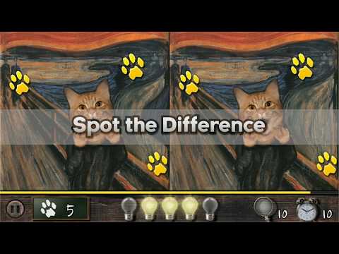 Cat! Spot the difference Video