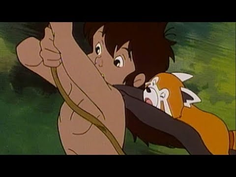 MAUGLI MÁ DOBRÉ SRDCE - Kniha džunglí epizoda 24 / JUNGLE BOOK - CZ