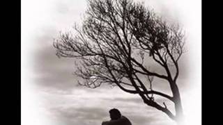 porta   mi realidad   YouTube