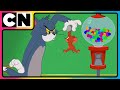 Tom And Jerry Jerry The Troublemaker Cartoon For Kids Only On Cartoon Network India