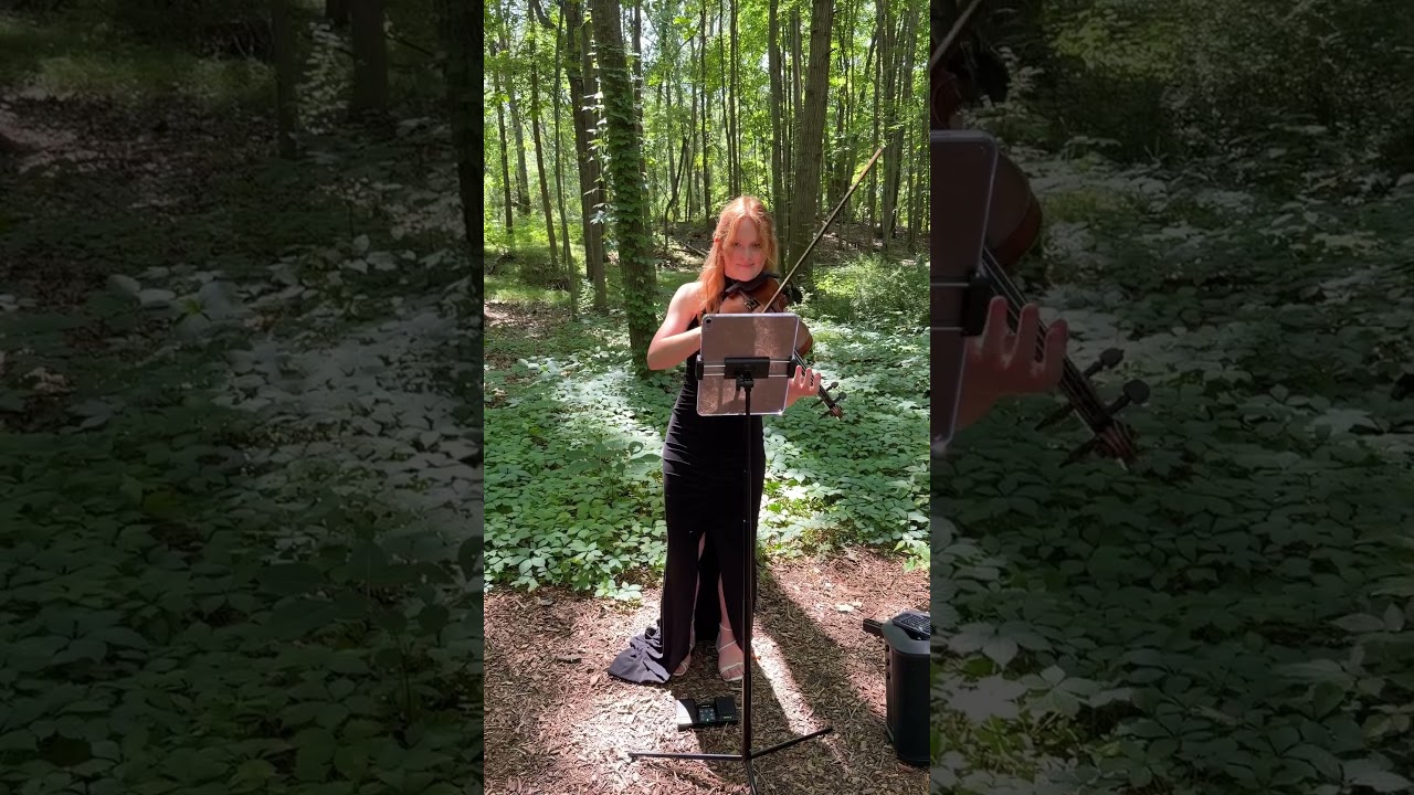 Promotional video thumbnail 2 for Elegant Violin Music