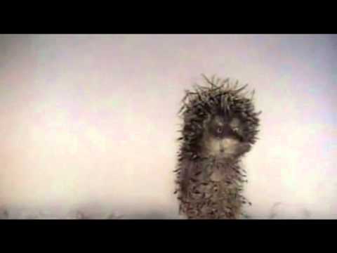 Jason Grove - Mastercut 4