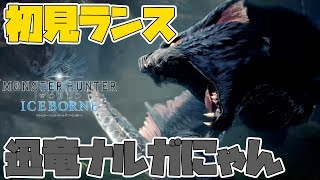 【MHWI】ナルガクルガめっちゃ良モンスじゃね？ナルガに初見で挑んでみた！【モンスターハンターワールド　アイスボーン】