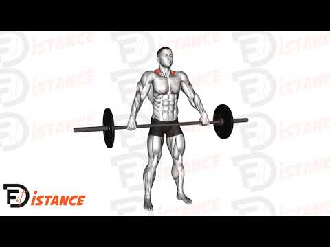 Exercice Shrugs prise large à la barre droite