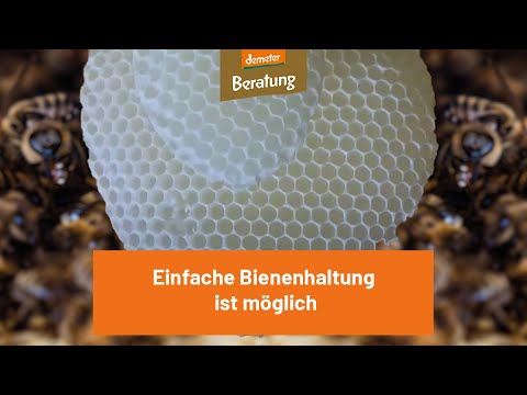 , title : 'Einfache Bienenhaltung ist möglich'