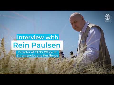Interview with Rein Paulsen, Director of FAO's Office of Emergencies and Resilience