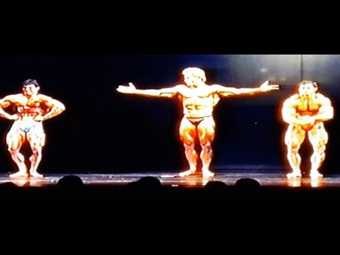 Hermann Hoffend - Josef Grolmus - Peter Hensel- 1985