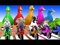 5 Giant Duck, Monkey, Piglet, chicken, dog, mammoth,tiger, Sheep, Transfiguration funny animal 2023
