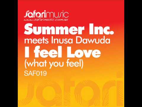 Summer Inc. feat. Inusa Dawuda - What You Feel (Hanna Hansen & David Puentez Summer Remix)