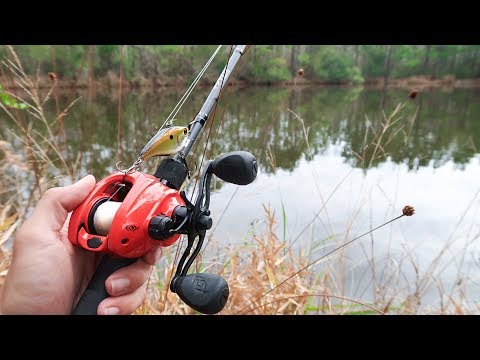 Fishing THICK Grass for GIANT Bass (Surprising)