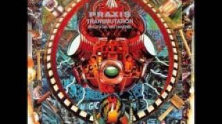 Praxis - Crash Victim / Black Sciencie Navi - Transmutation (Mutatis Mutandis)