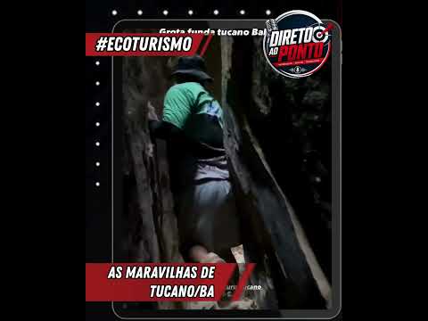 🌵 TUCANO É MARAVILHOSO DE PONTA A PONTA!