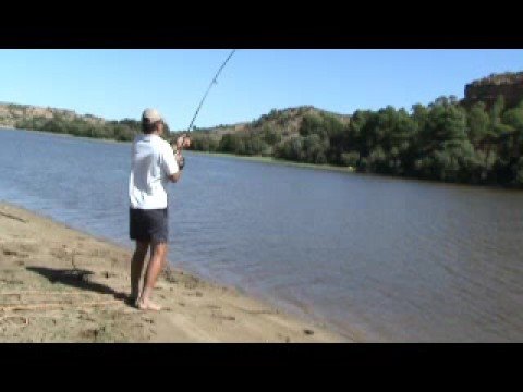 Sumec na kaprový prut - Rio Ebro