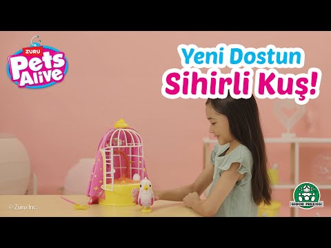 Sihirli Kuş Polly Nasıl Çalışır? | Pets Alive | GP Oyuncak